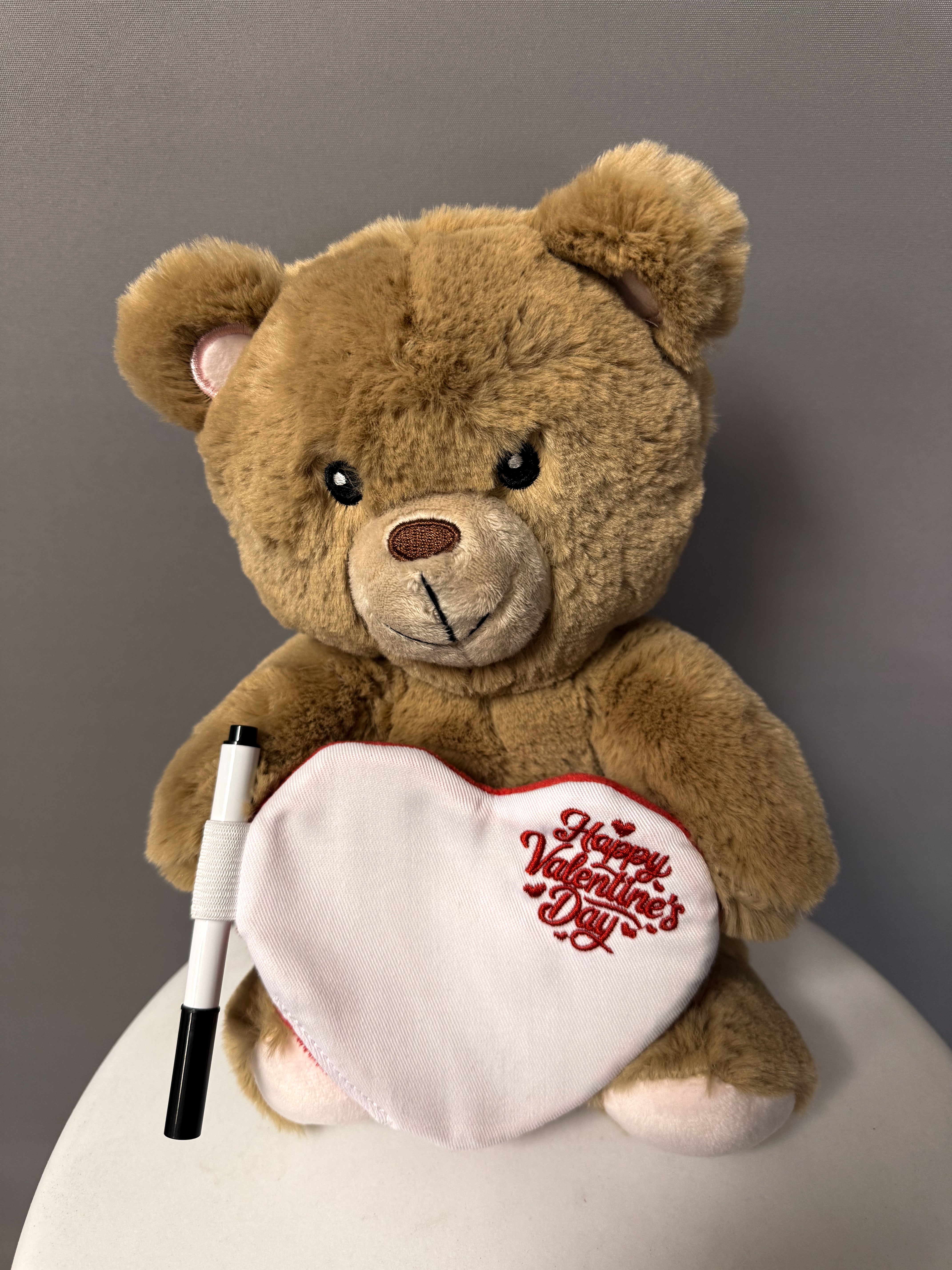 Valentine's Day Teddy Bear