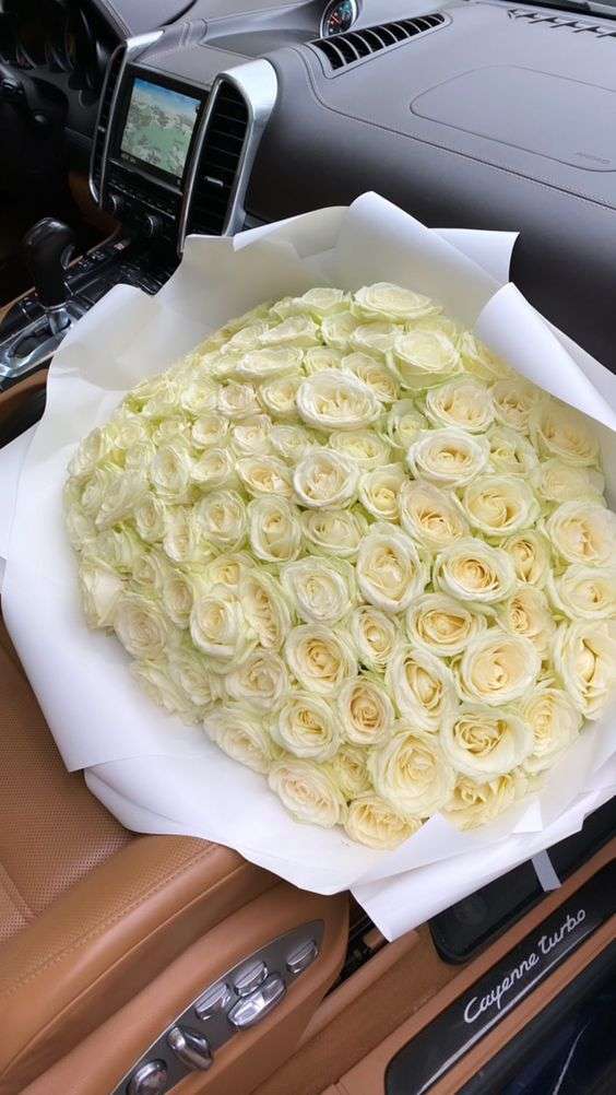 White Elegance XLarge image 0