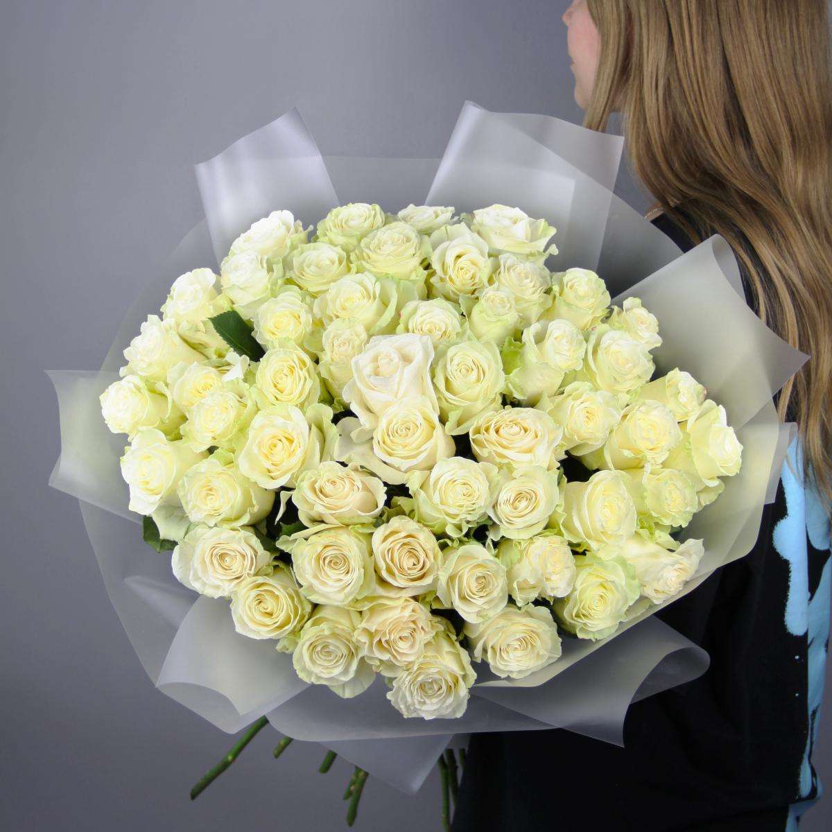 White Elegance Medium image 0