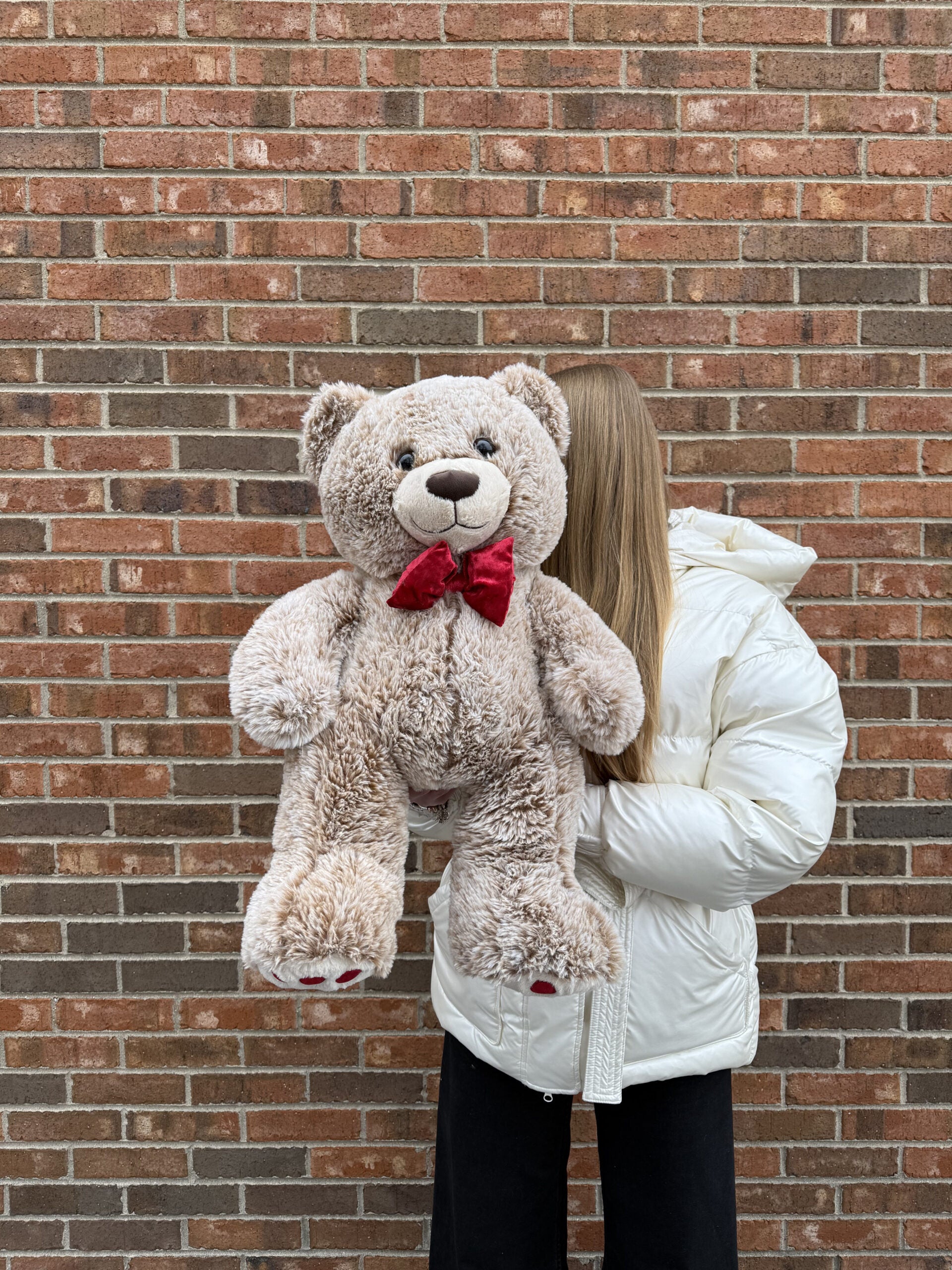 Teddy Bear Brown 20″ image 2