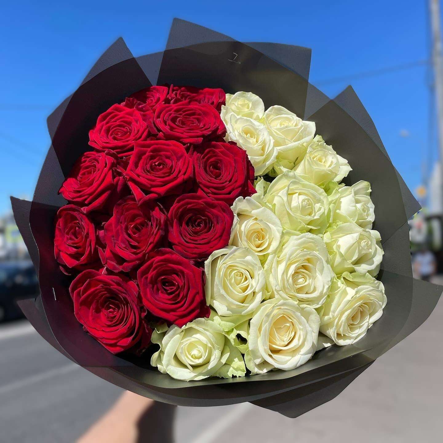 Two Shades of Love image 0