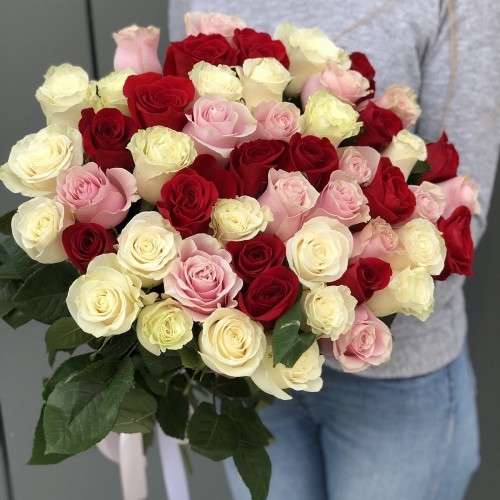 Passionate Harmony image 0