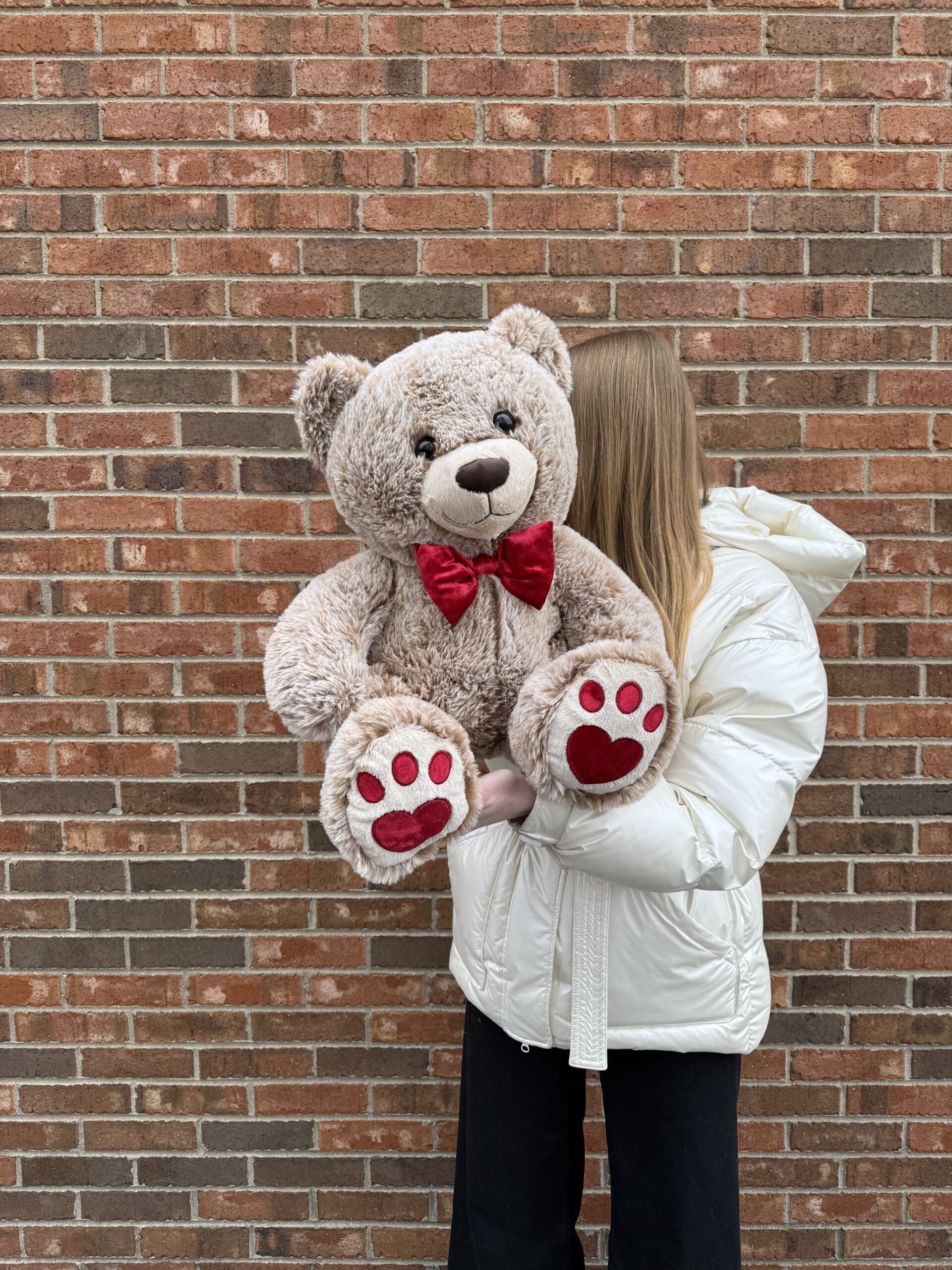 Teddy Bear Brown 20″ image 1