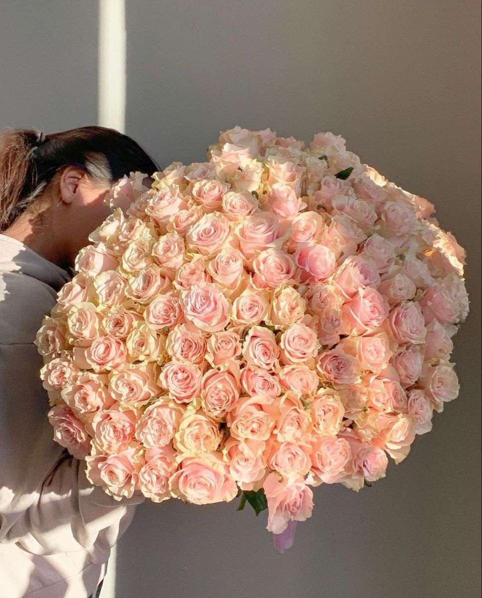 Soft Elegance XLarge image 0